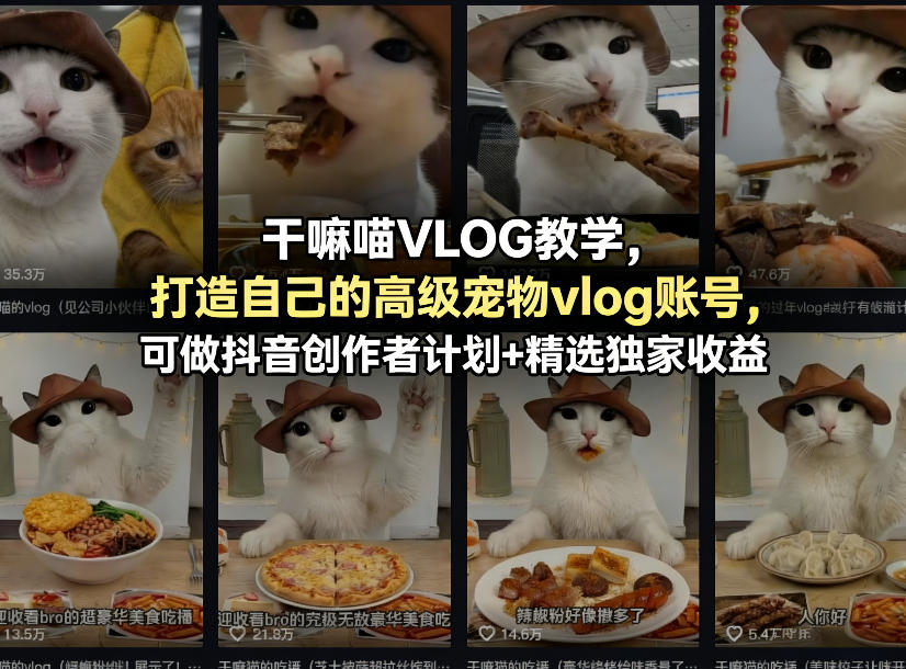干嘛喵VLOG教学，打造自己的高级宠物vlog账号，做抖音创作者计划-多金部落-社群网课资源站